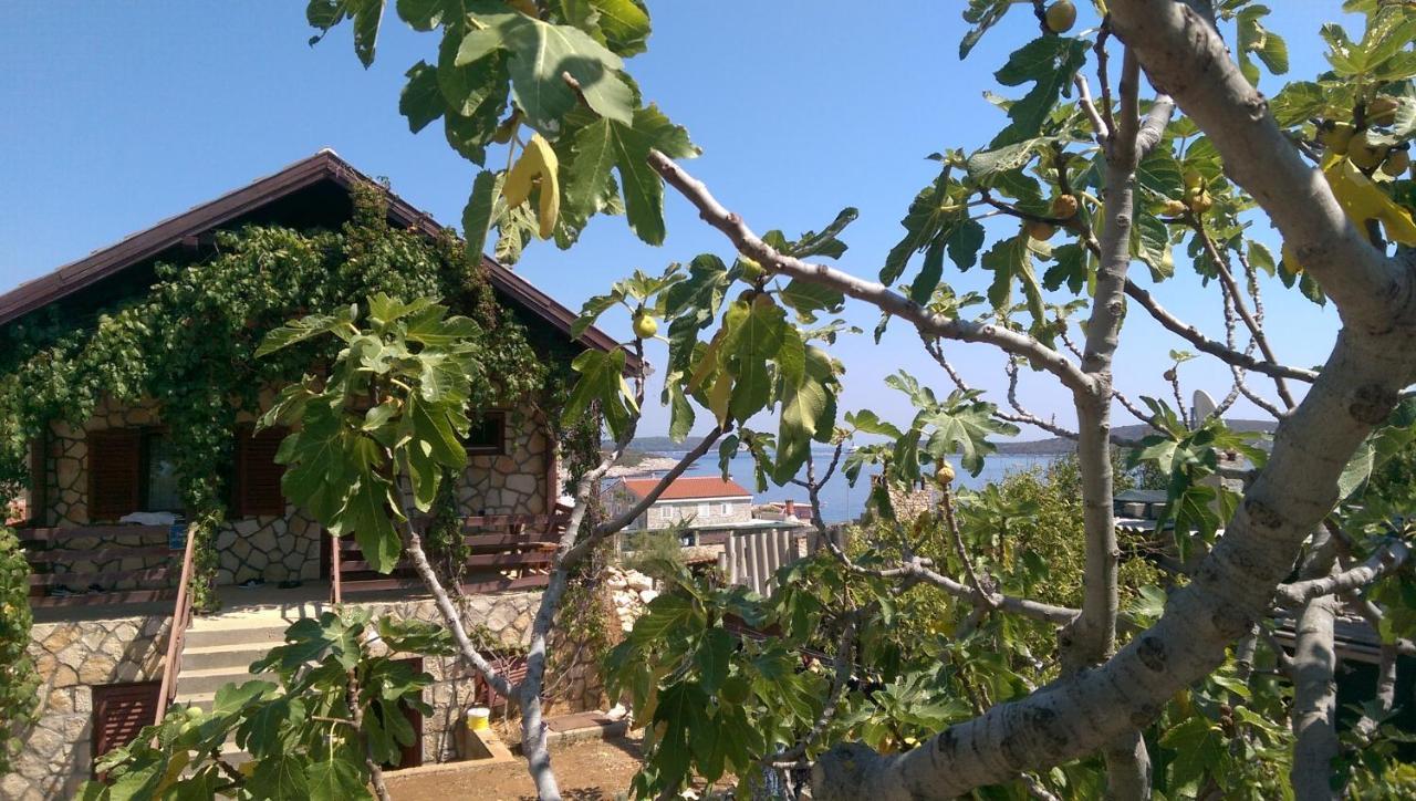 Apartmán Apartman Knezevic Rukavac  Exteriér fotografie